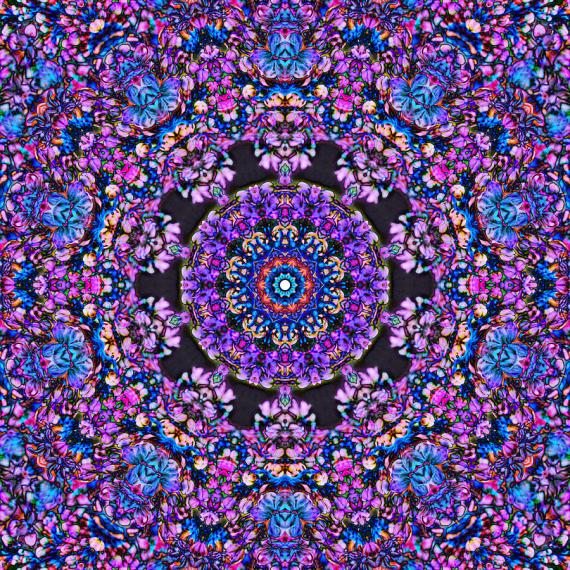 abstract-lilac-mandala-7-cindy-boyd