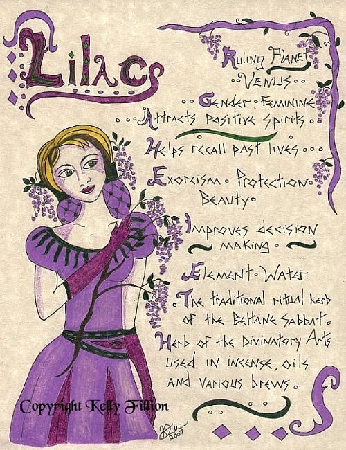 Lilac-Book-Of-Shadows-Page