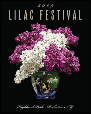 Lilacs_2
