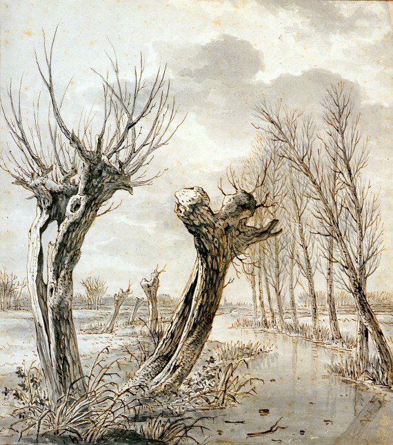 landscape-in-winter
