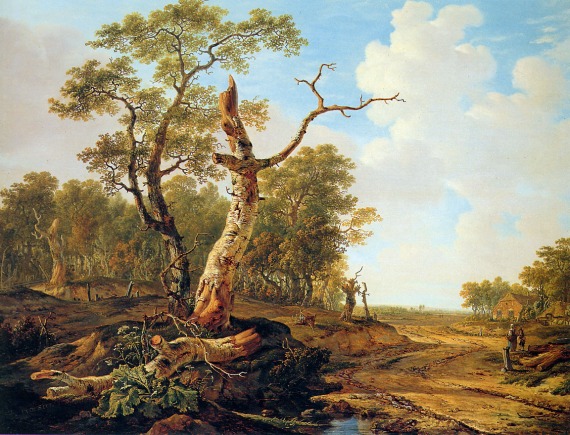 landscape-with-dead-tree